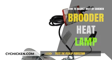 Adjusting Your Chicken Brooder Heat Lamp: A Quick Guide