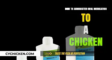 Administering Oral Medication: A Guide for Chicken Owners