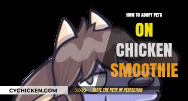 Adopting Pets on Chicken Smoothie: A Step-by-Step Guide for Beginners