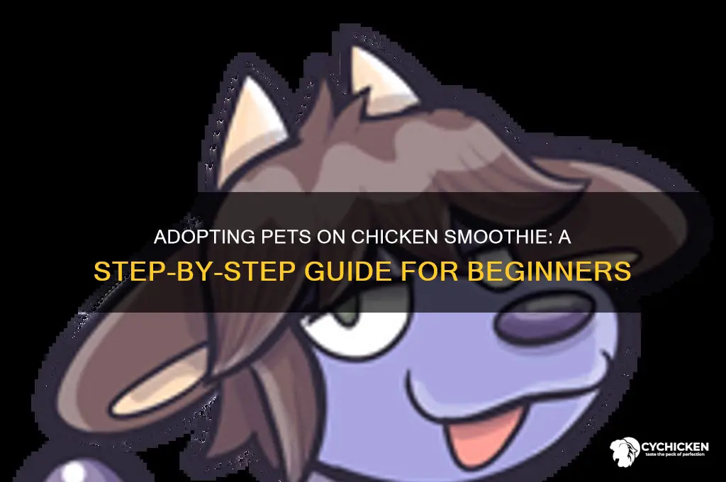 how to adopt pets on chicken smoothie