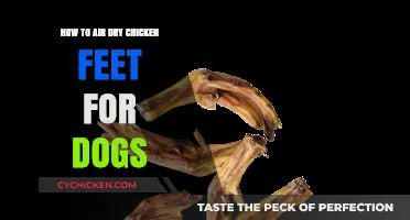 Air-Dried Chicken Feet: A Dog Treat Guide