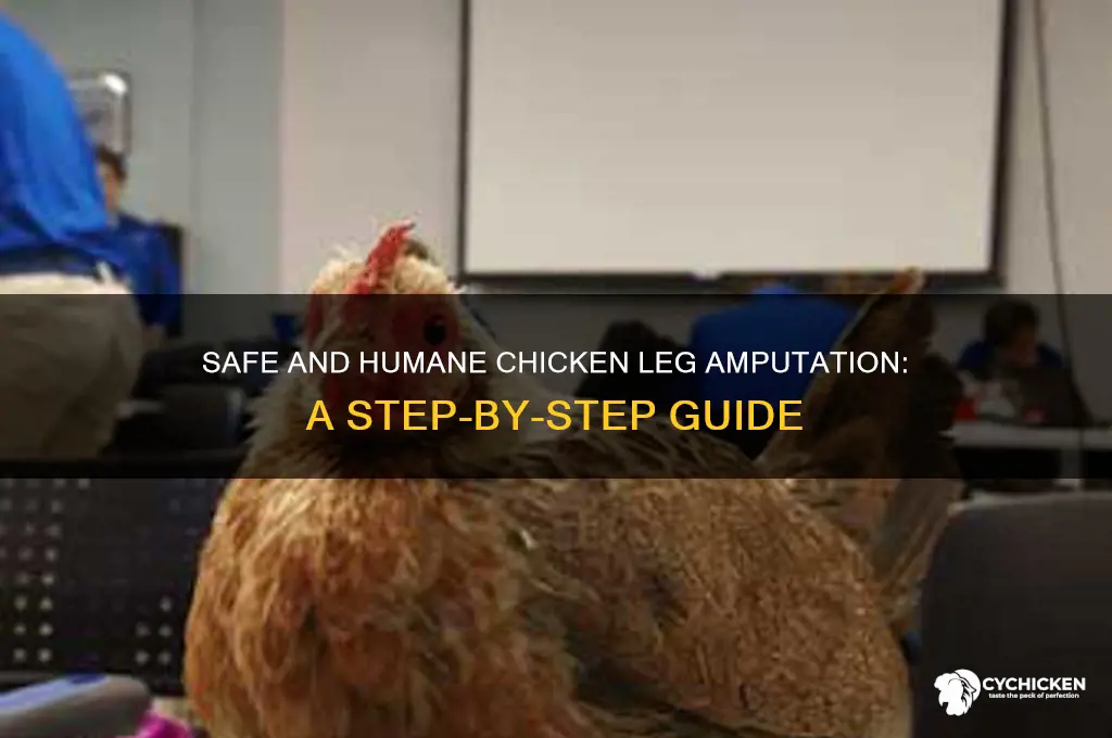 how to amputate a chicken