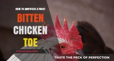 Amputating Frostbitten Chicken Toes: A Step-by-Step Guide