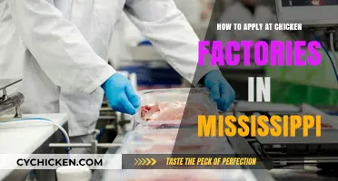 Chicken Factory Jobs: Mississippi Opportunities