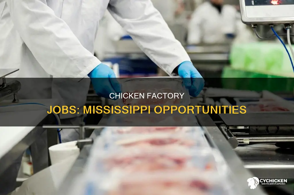 how to apply at chicken factories in mississippi