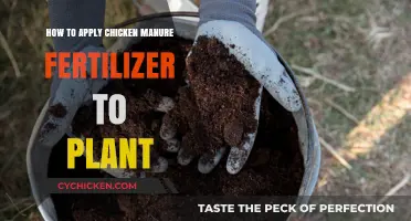Chicken Manure Fertilizer: Application Techniques for Plants