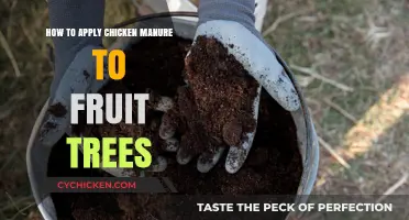 Chicken Manure Magic for Fruit Trees