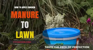 Boost Your Lawn's Health: Applying Chicken Manure Effectively and Safely