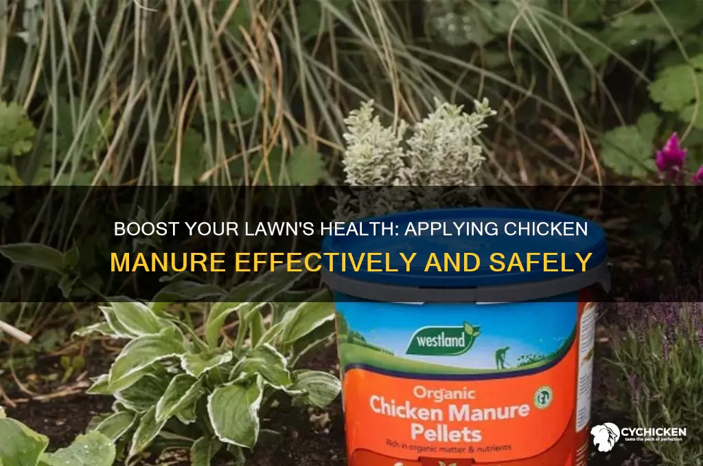 how to apply chicken manure to lawn