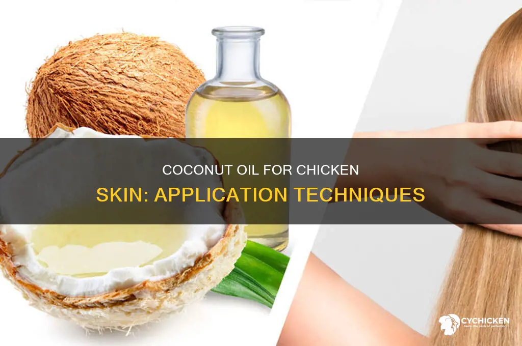 how to apply coconut oil for chicken skin