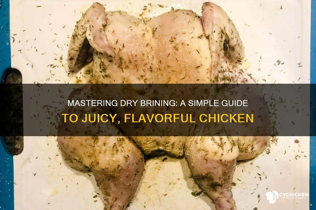 how to apply dry brine to chicken