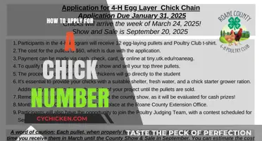 How to Apply for a Chick Number: A Step-by-Step Guide