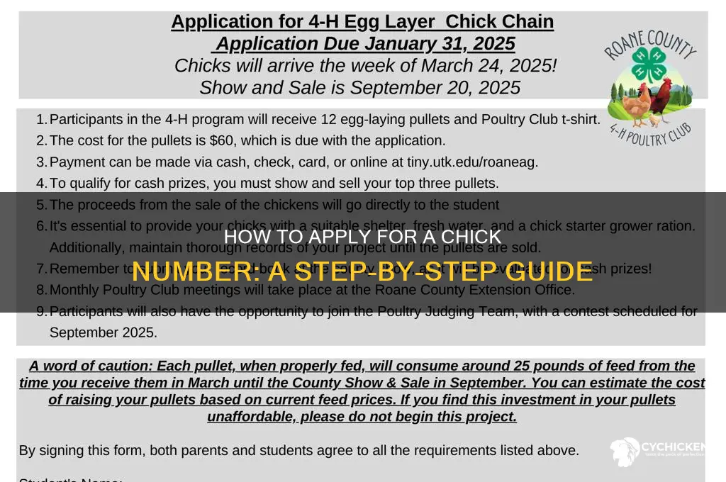 how to apply for a chick number