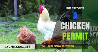 Cluck Your Way to Compliance: A Guide to Chicken Permit Applications