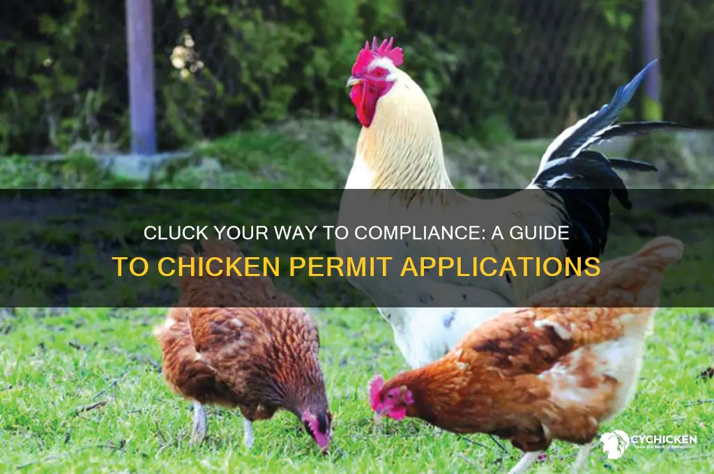 how to apply for a chicken permit