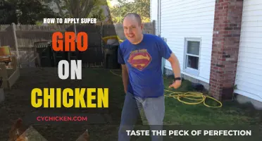 Effective Super Gro Application Tips for Healthy, Happy Chickens