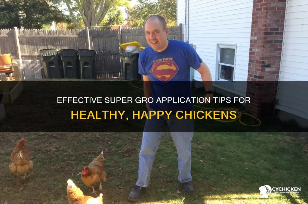 how to apply super gro on chicken