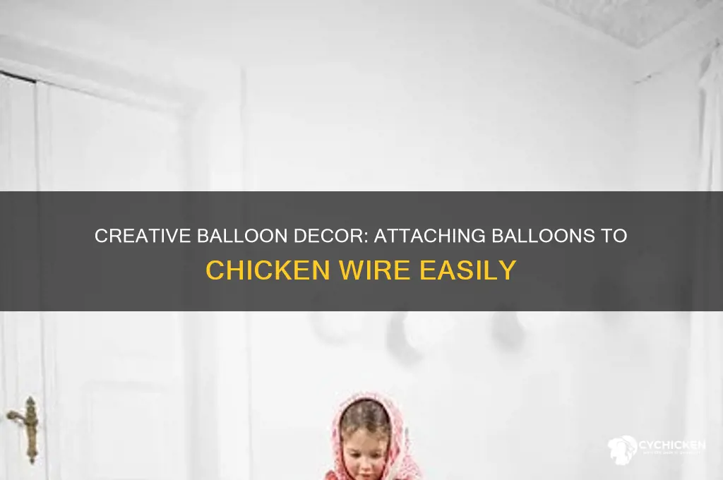 how to attach balloons to chicken wire