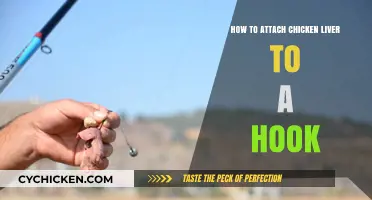 Attaching Chicken Liver to a Hook: The Ultimate Guide