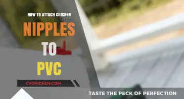 DIY Chicken Waterer: Attaching Nipples to PVC for Easy Hydration