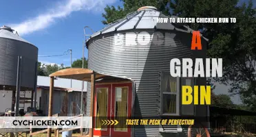 Attaching Chicken Runs: Grain Bin Considerations