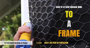 Attaching Chicken Wire to a Frame: Easy Steps