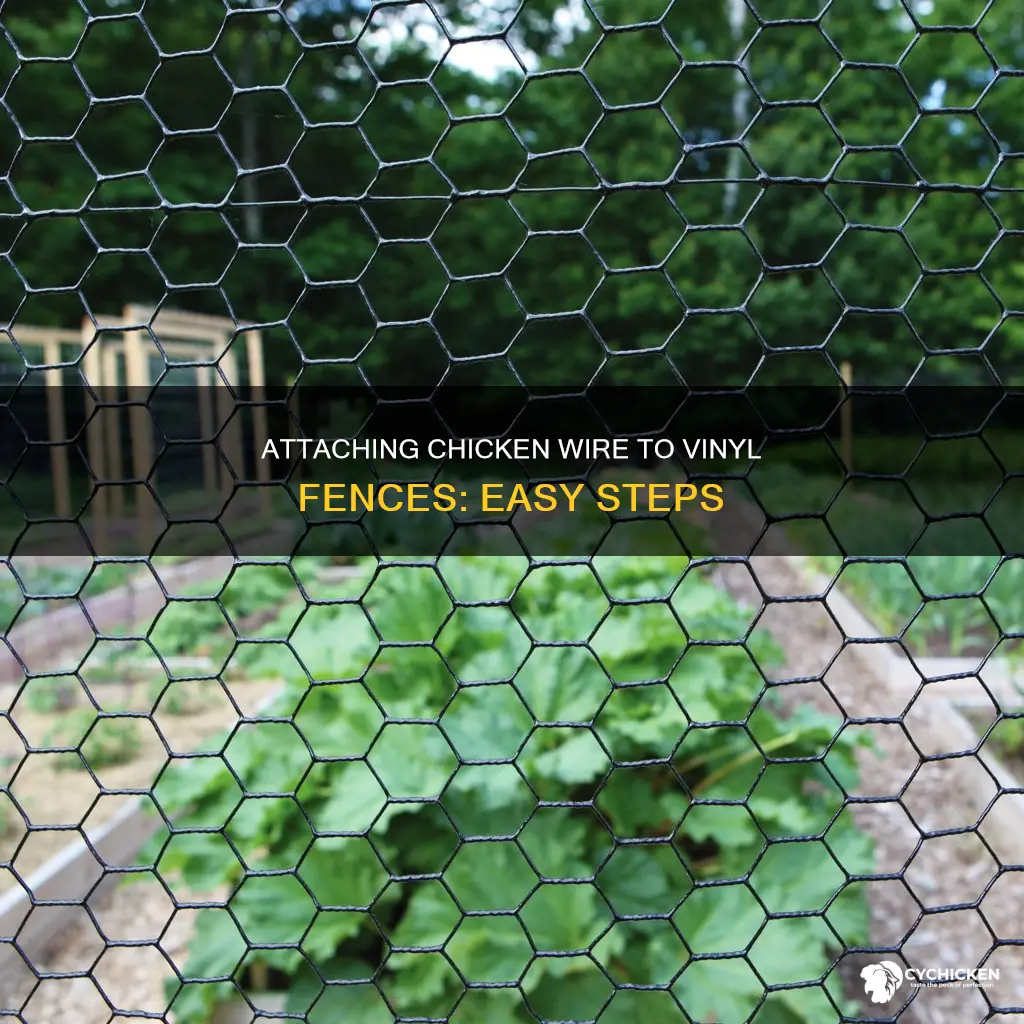 how to attach chicken wire to a vinyl fence