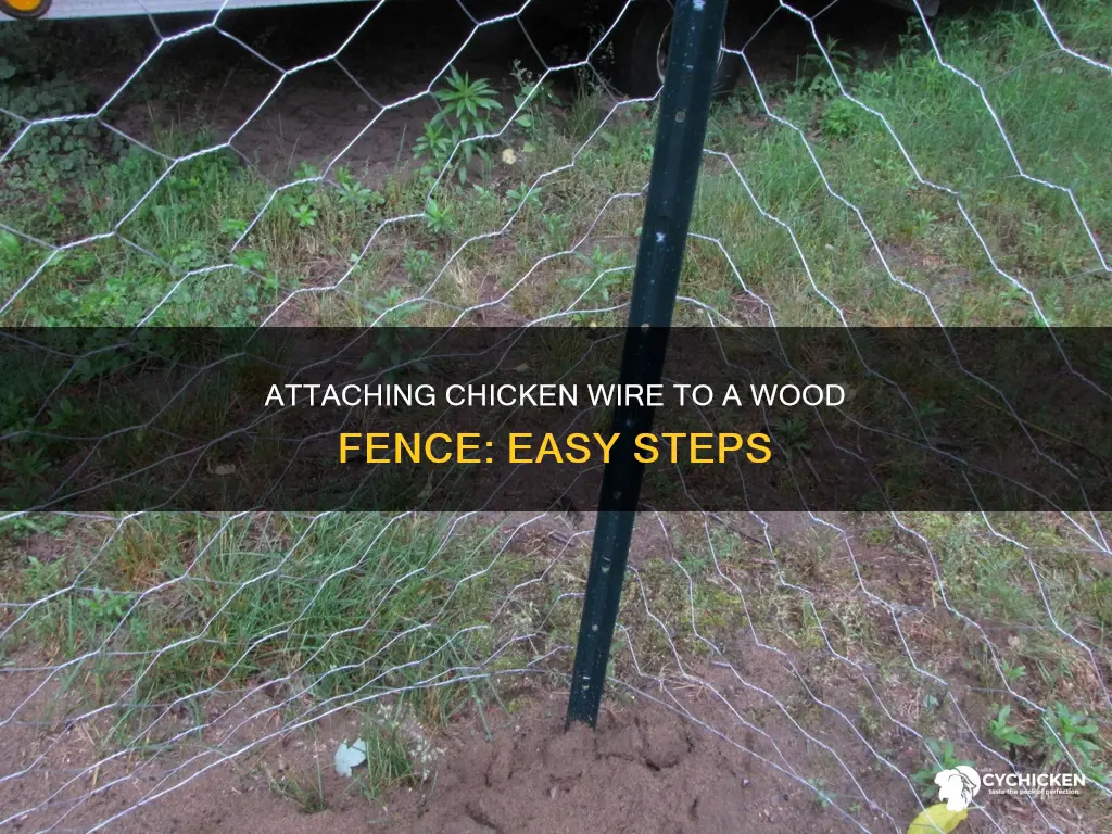 how to attach chicken wire to a wood fence