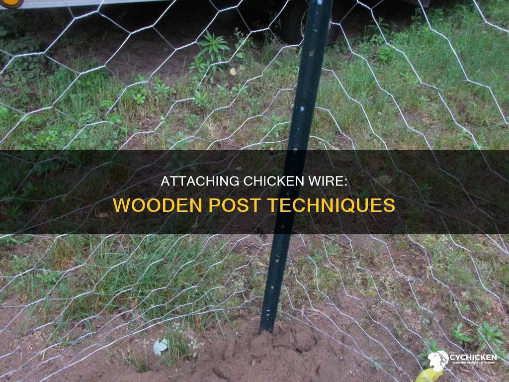 how to attach chicken wire to a wooden post