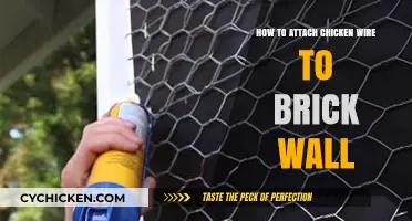 Attaching Chicken Wire to Brick Walls: A Step-by-Step Guide