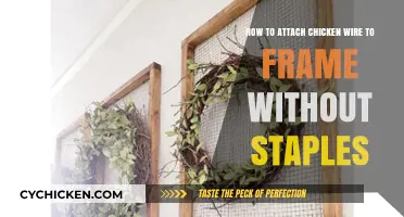 Attaching Chicken Wire: No Staples, Just Simple Tricks