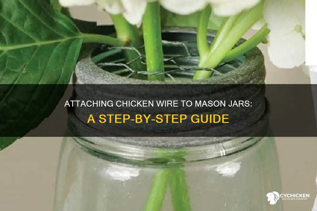 how to attach chicken wire to mason jars