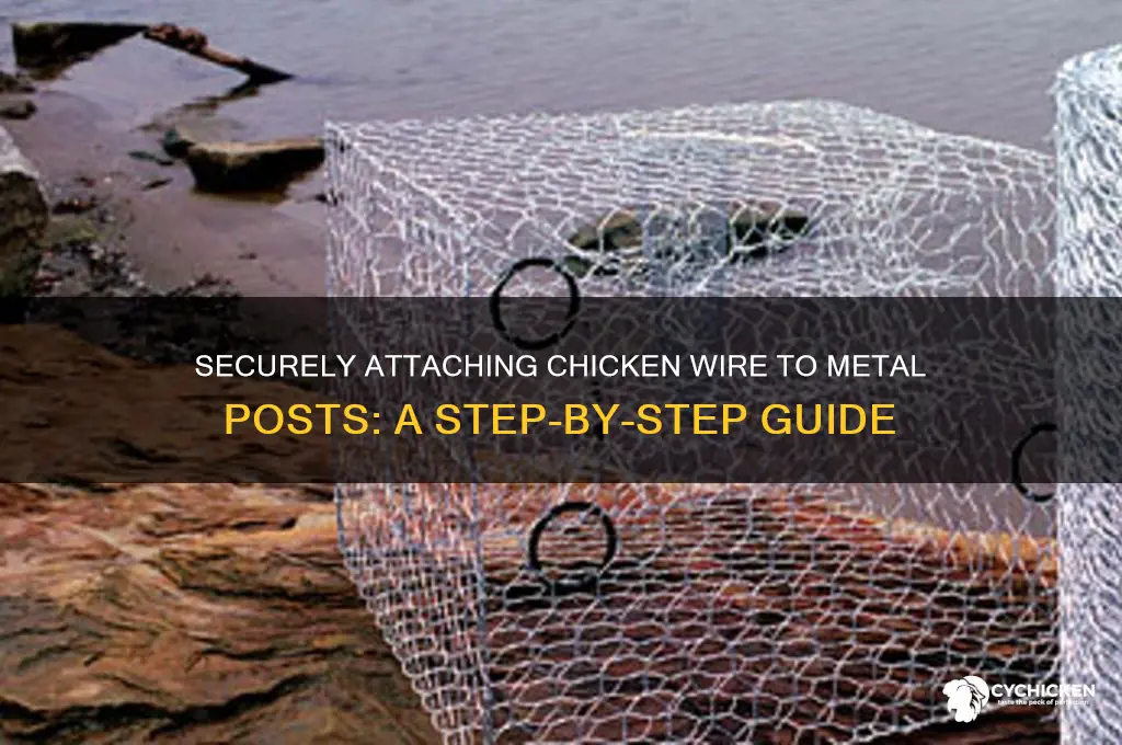 how to attach chicken wire to metal post