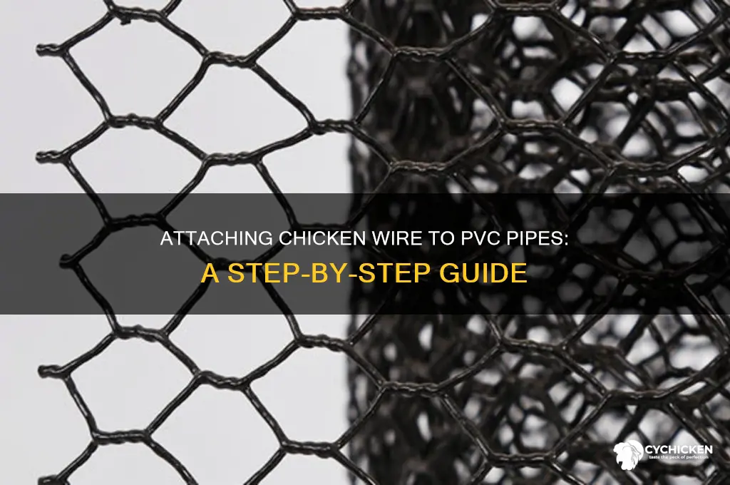 how to attach chicken wire to pvc pipe