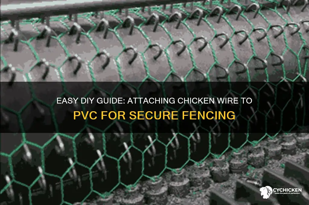 how to attach chicken wire to pvc