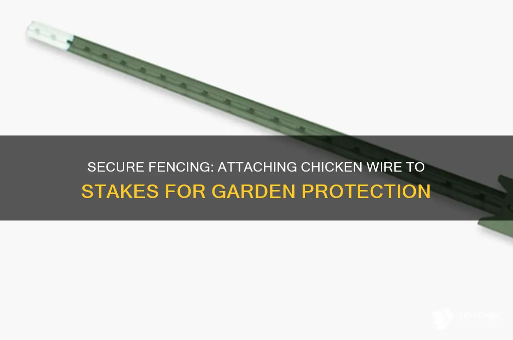 how to attach chicken wire to stakes