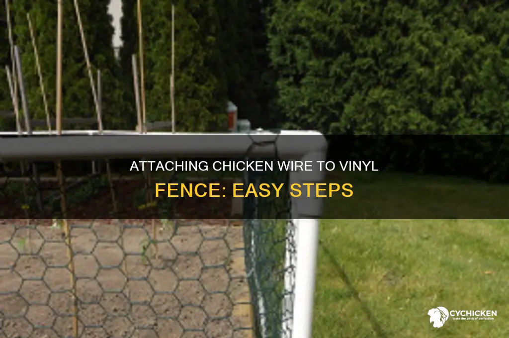 how to attach chicken wire to vinyl fence