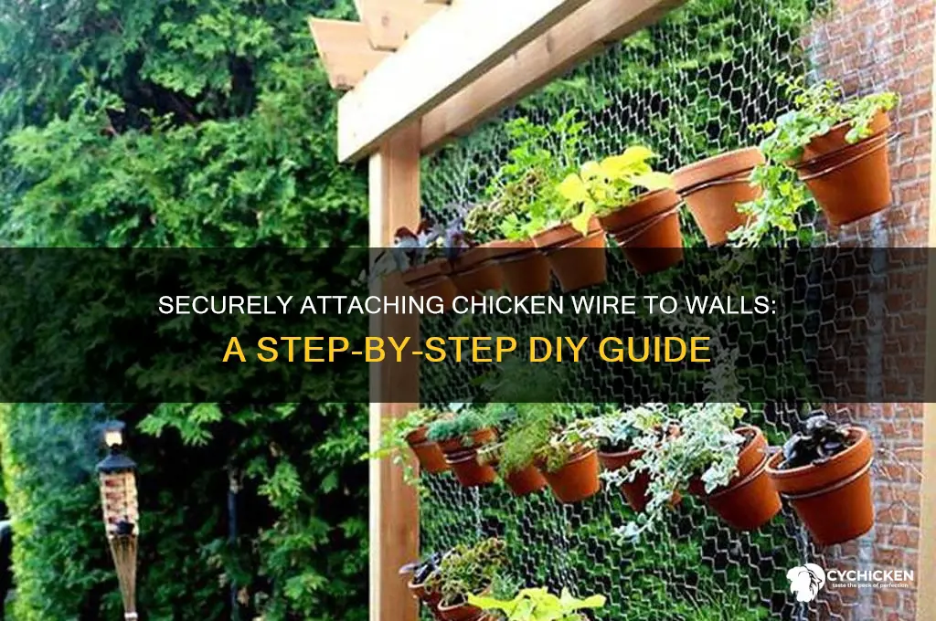 how to attach chicken wire to wall