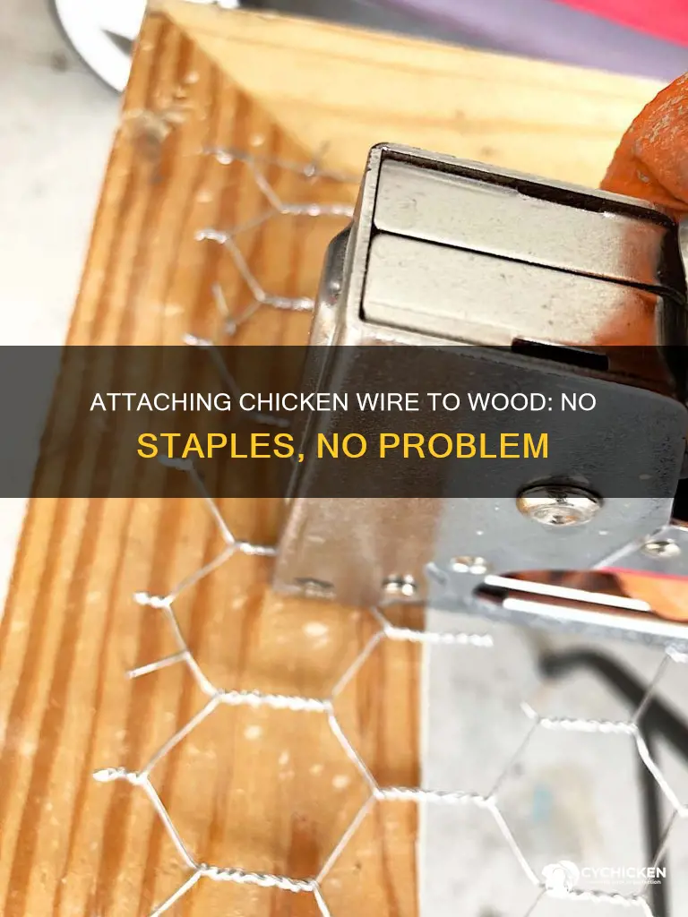 how to attach chicken wire to wood without staples