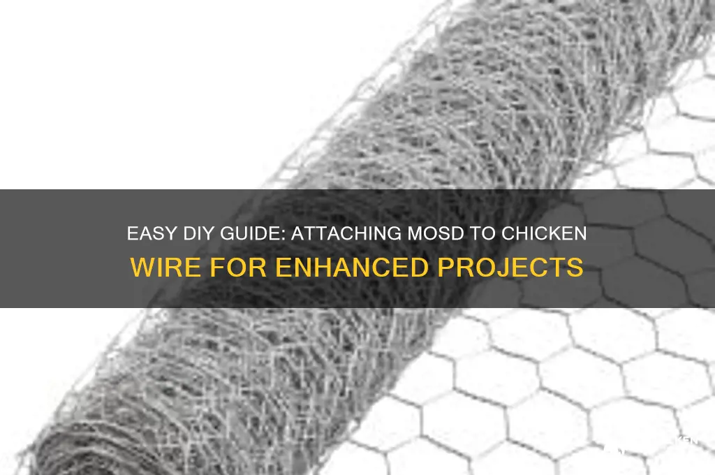 how to attach mosd to chicken wire