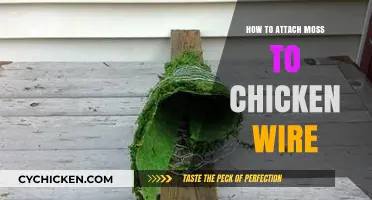 Easy Moss Wall Guide: Attaching Moss to Chicken Wire Step-by-Step