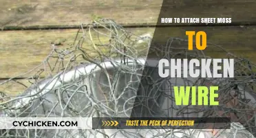 Attaching Sheet Moss to Chicken Wire: The Ultimate Guide