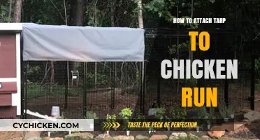 Easy DIY Guide: Securing a Tarp to Your Chicken Run
