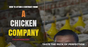 Strategies to Secure Chicken Company Contracts