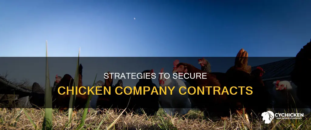 how to attain a contract from a chicken company