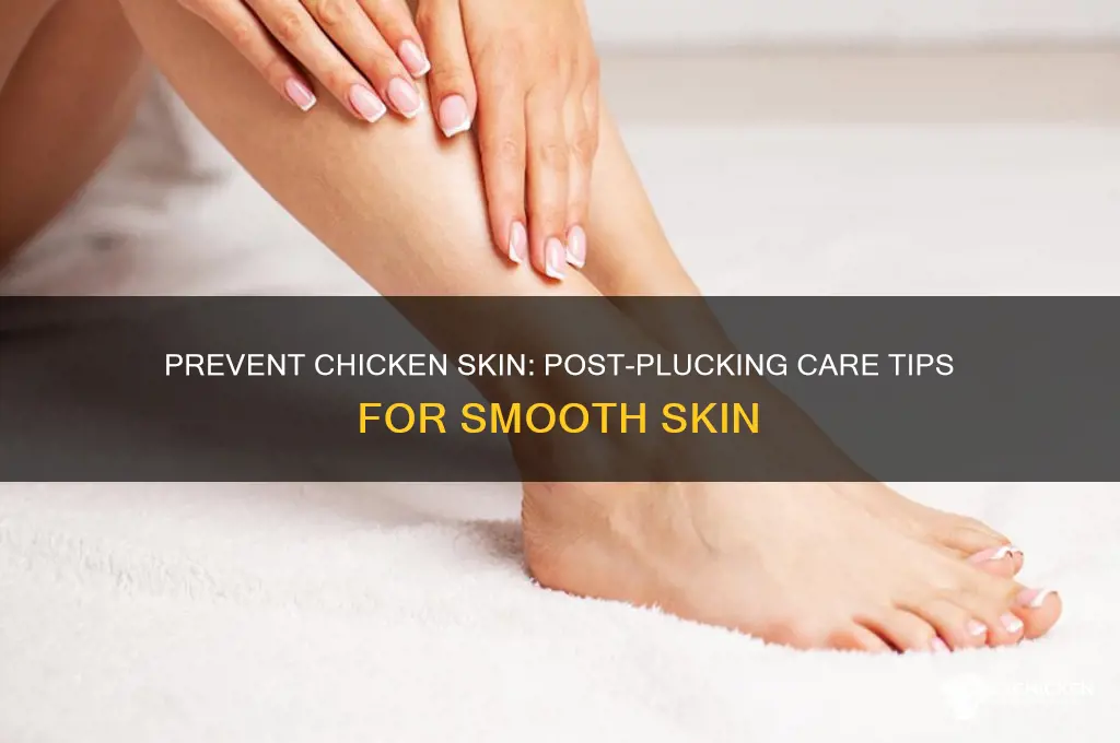 how to avoid chicken skin after plucking