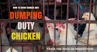 Navigating Chicken Trade: Evade China's Anti-Dumping Duty
