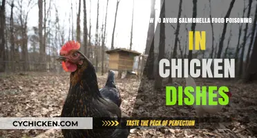 Preventing Salmonella: Safe Chicken Cooking and Handling