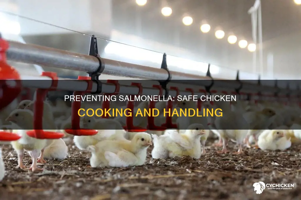 how to avoid salmonella food poisoning in chicken dishes