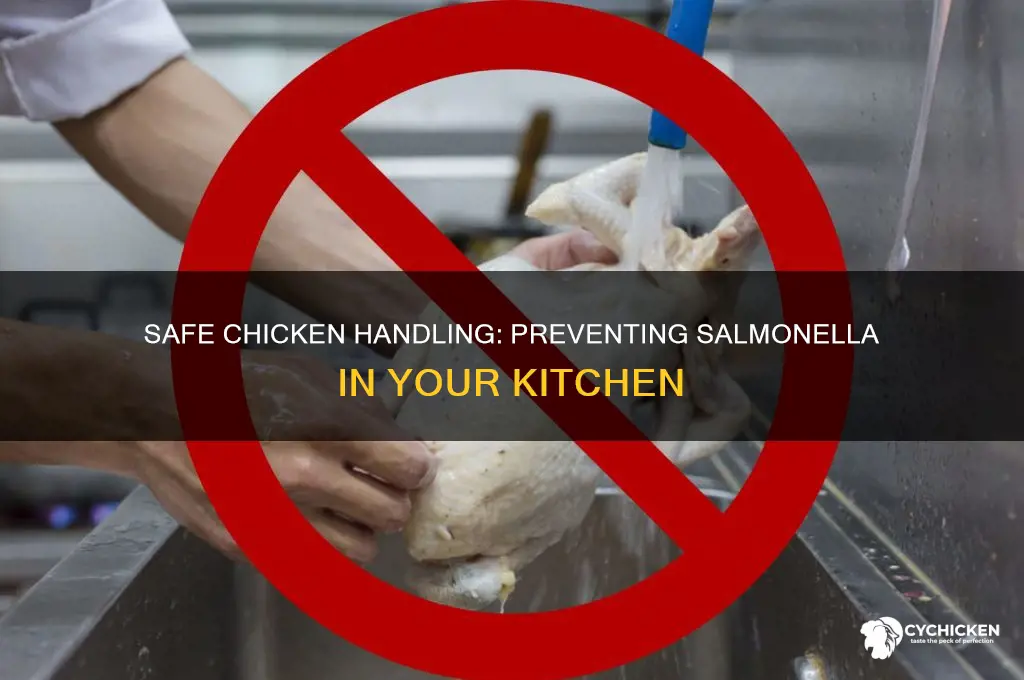 how to avoid salmonella on a chicken